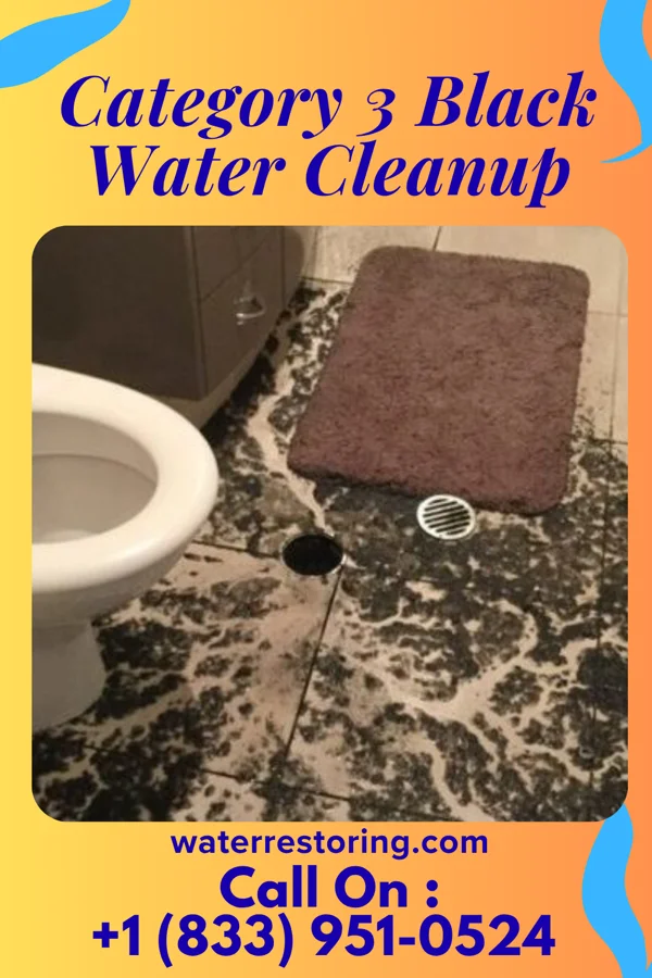 Category 3 Black Water Cleanup in Windsor, SC