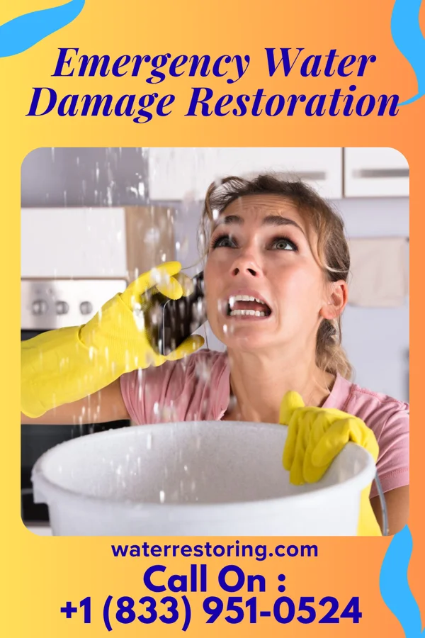 Emergency Water Damage Restoration in Windsor, SC