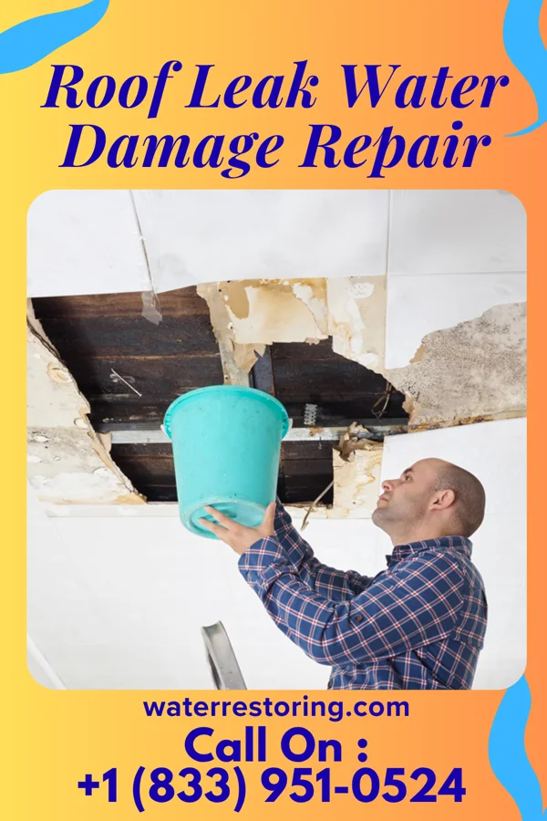 Roof Leak Water Damage Repair in Windsor, SC