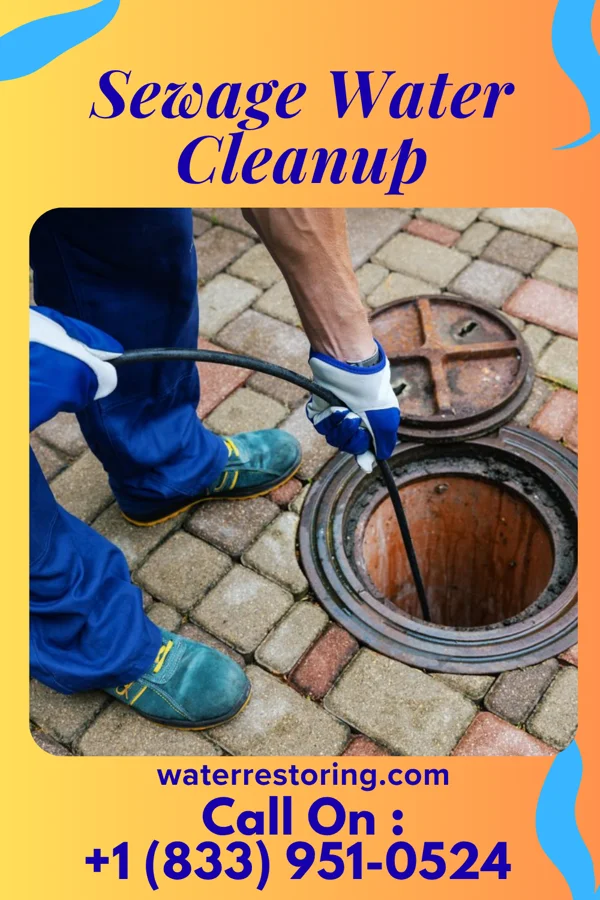 Sewage Water Cleanup in Windsor, SC